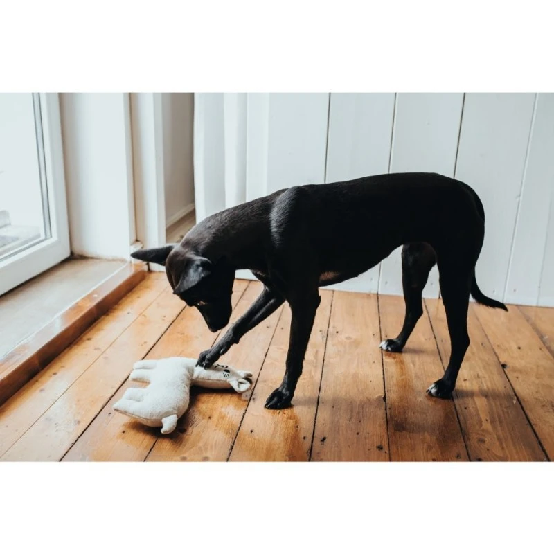 Hunter Tirana Lama S - bamse til små hunde